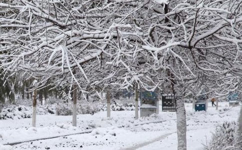 �����������L�ȘO�ː�����⑪������