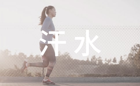 揮灑汗水,播種生長日記