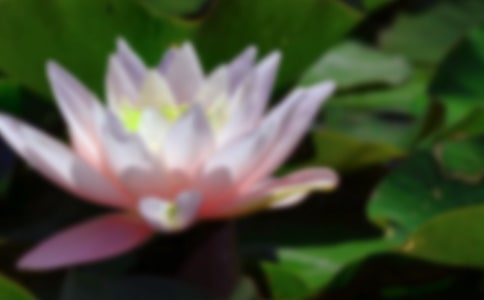 ٝ���ɻ���Ԋ(sh��)��(ͨ��15ƪ)