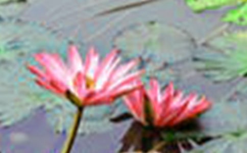 �ɻ�������x�����