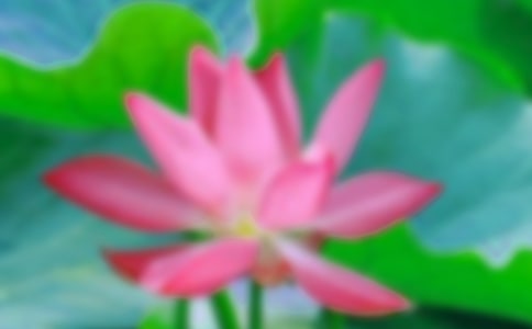 �ɻ��xɢ�����p