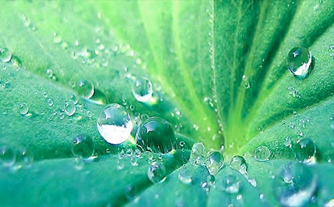 �����~�A�A���̌W�O(sh��)Ӌ����