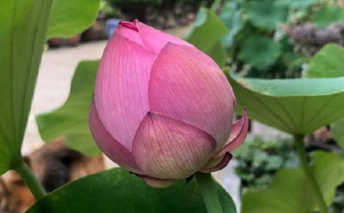 ���~�c�tɏ�x���600��