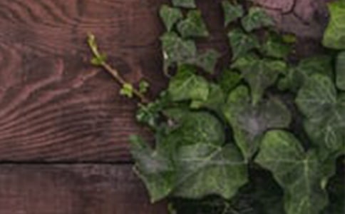 �Ļ��������c���C����l�Ը巶��