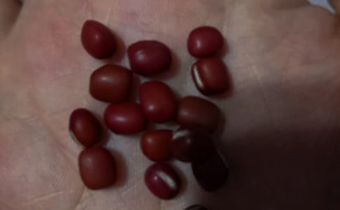 �^��t���l(f��)ѿ����ӛ