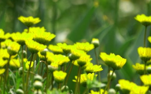 ���̵Ļ��䃞������ժ�84�l