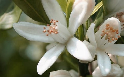 ��ʷҷ��Ļ�����x��(2ƪ)