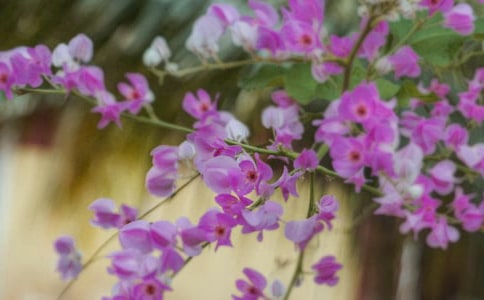 ͨ�û��䃞�����Ӽ���38��