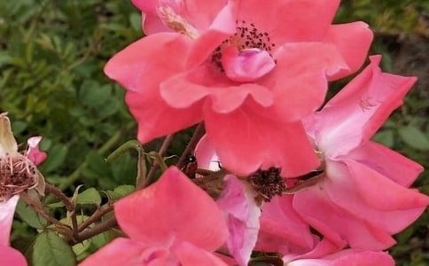 �����л��䡪������㡷�Ľ̌W(xu��)�O(sh��)Ӌ(j��)