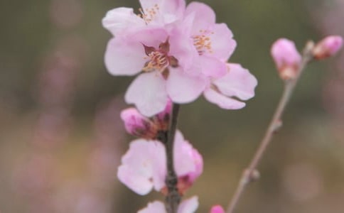 2021�����P���䃞������46�l