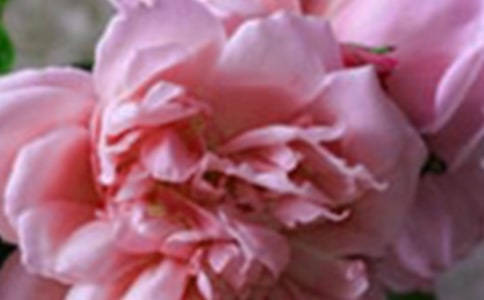 ���x���䃞�������\��75��