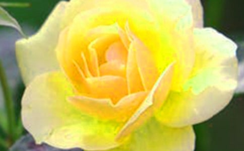 2021��ͨ�û��䃞�����Ӻϼ�35��