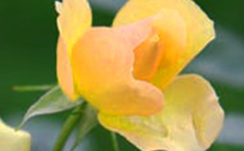 2021�꾫�x���䃞�������\��34�l