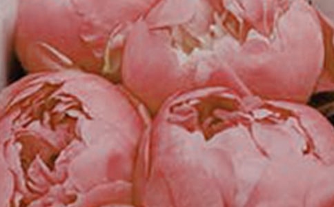 �B�ǘ�Ļ�����x��7ƪ