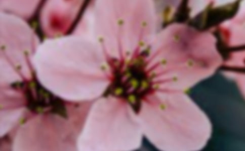 ���x���䃞�����ӅR��60��