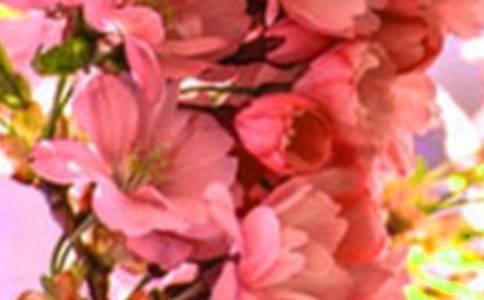 �����T��2022�껨�䃞�����Ӽ��\38��