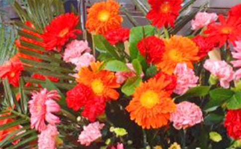 һֻ���@ɢ��