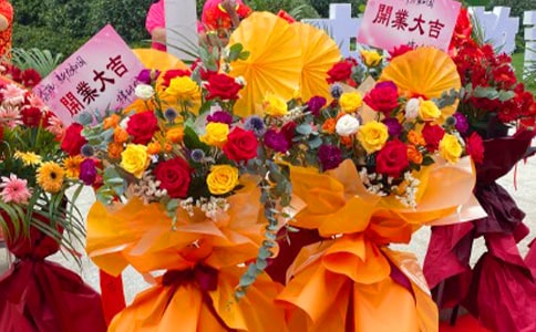 ������⡶�����@����(y��u)��̰������x6ƪ��