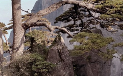 �Sɽ��ʯ�̰�