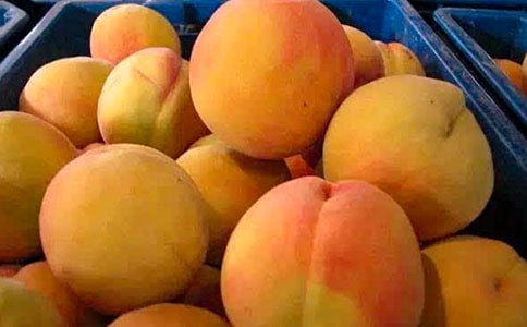 ��ζ���S�Ҕ�������