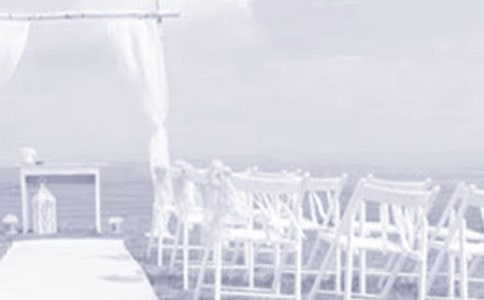 婚禮策劃方案(集合15篇)