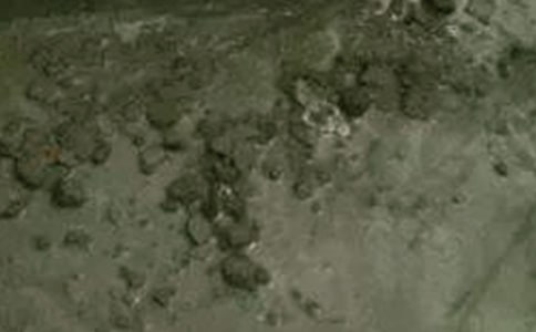 ���������g�T�������Y���ģ����x7ƪ��