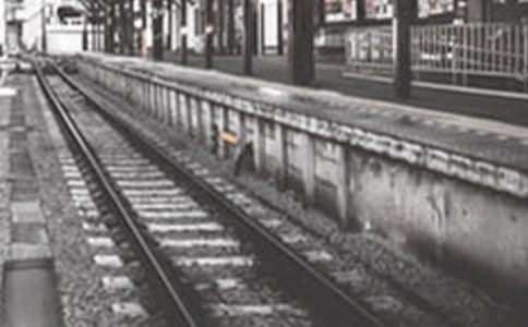 火車站春運(yùn)安保方案(精選11篇)