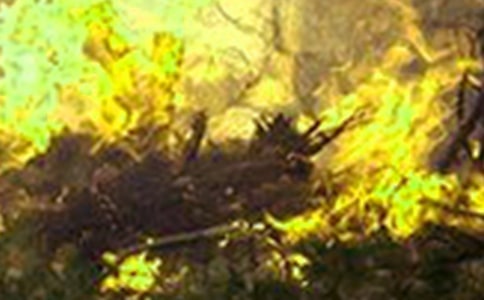 ��������Ҳ��½̰�