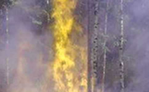 ��Ă����¹��ĵ��w�����ģ�ͨ��37ƪ��