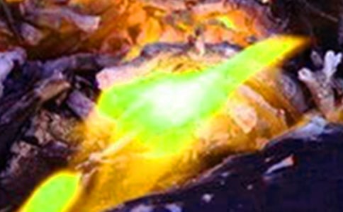 ����ĵ��w�����ģ����x30ƪ��