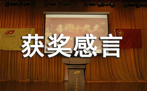 優秀團隊獲獎感言發言稿范文(精選7篇)