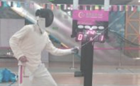 喜羊羊與灰太狼之擊劍比賽小學童話作文