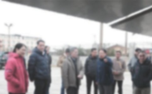 2022���Ӹɲ��W���l�����d�����ĵ��w��