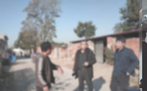 �����˾���Ӹɲ�����棨ͨ��5ƪ��