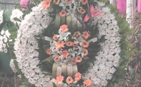 �ഺ�ļ���Ԋ��