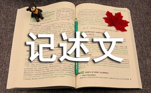 高中優秀記述文