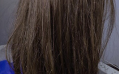 �P�ڼٰl���İ�110��