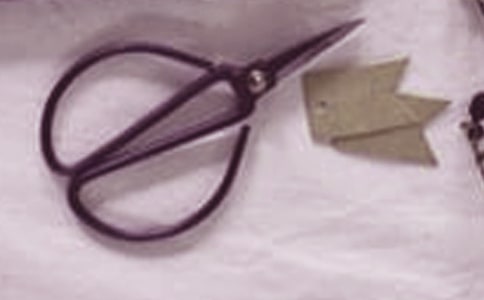 С�����g�̰���������Ϣ�ɽ̰����̌W��˼