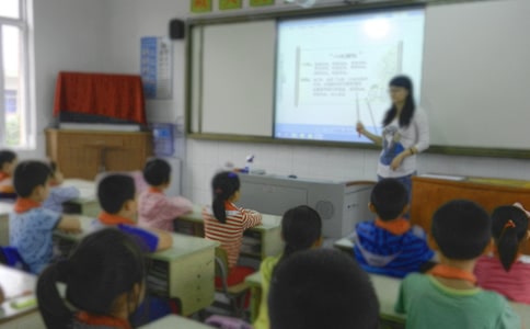 蘇珊的畫教學設計