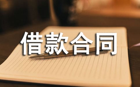 外匯擔保借款合同11篇