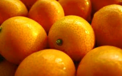 金桔作文400字(精選30篇)