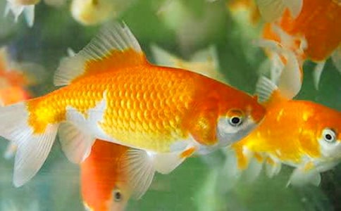 �^(gu��n)��С���~(y��)300����ӛ-���~(y��)