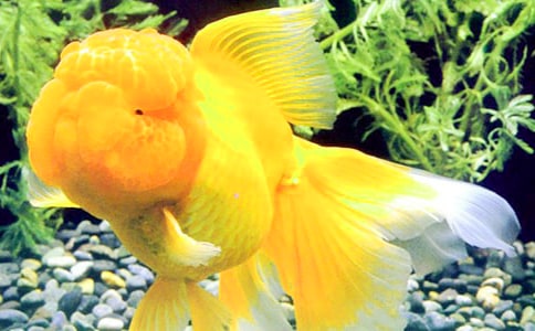 ���~�^����ӛ����