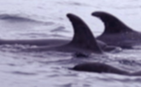 �Ұl�F�L�~���������ģ����x3ƪ��