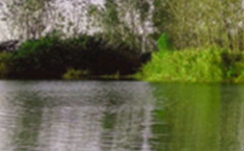 �茑���ɫ��`Ԋ��