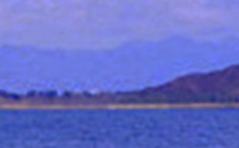 ���x��ɫ�������ӅR��49�l