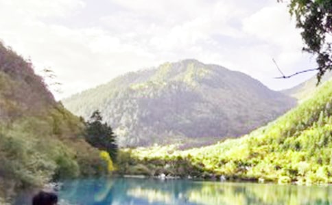 [��]��կ�ό����~15ƪ