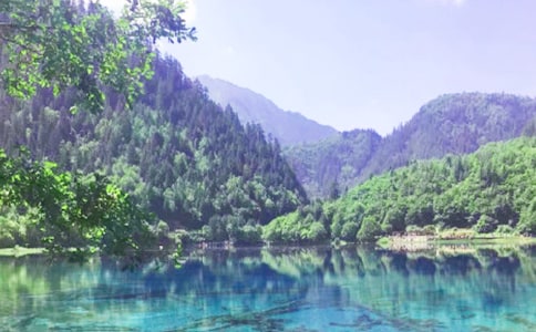 ��կ�����ģ�ͨ��20ƪ��