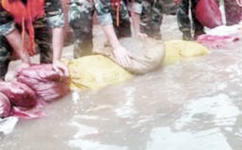 ���P�ڿ����Ѵ�ĵ��w�������x5ƪ��