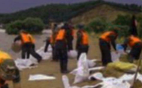 2021�꿹��Ȟ��ĵ��w��